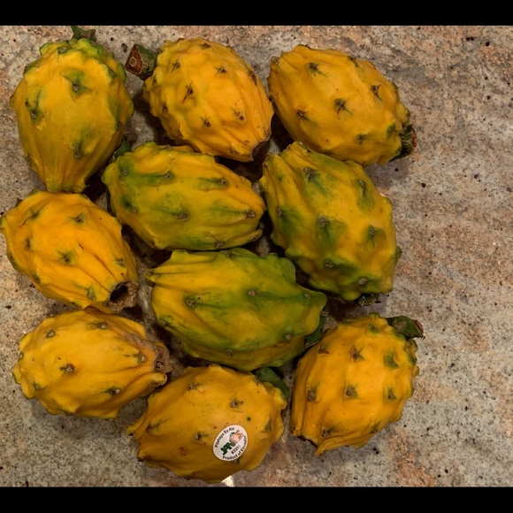 Meet your Posher, Daniel - Picture 1 of 1